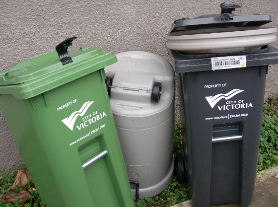 Here see the shiny new trash cans bullying the old, perfectly good, old trash can. The new grey guy is, in fact, eating the old guys lid!